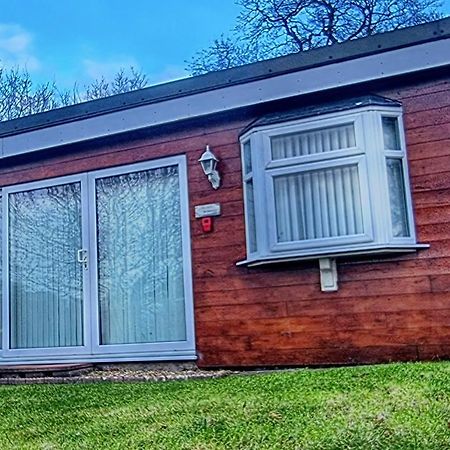 Ranger - Snowdon Cabins Holiday Let Caernarfon Caeathro Екстер'єр фото